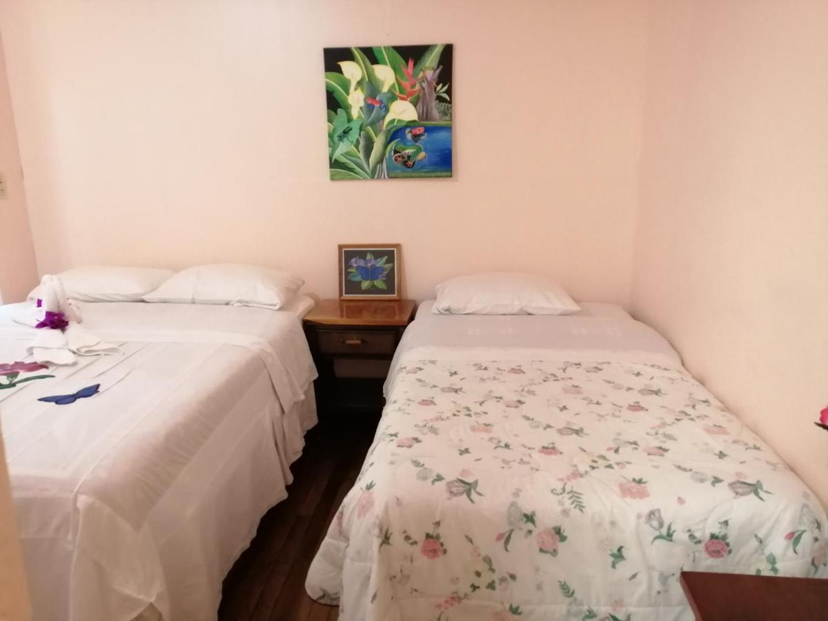 Monte Los Lirios Lodge Monteverde Bagian luar foto